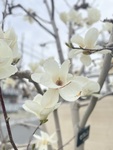 心配症をやめられない